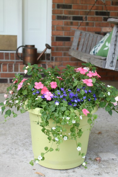 flower-pots