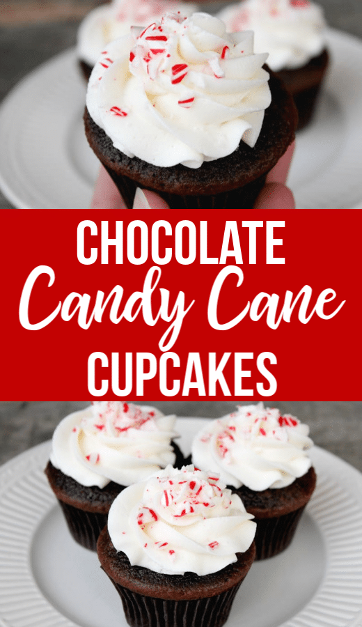 chocolate candy cane cupcakes