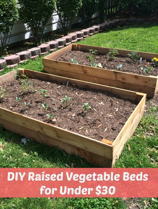 DIY Raised Vegetable Beds for Under $30