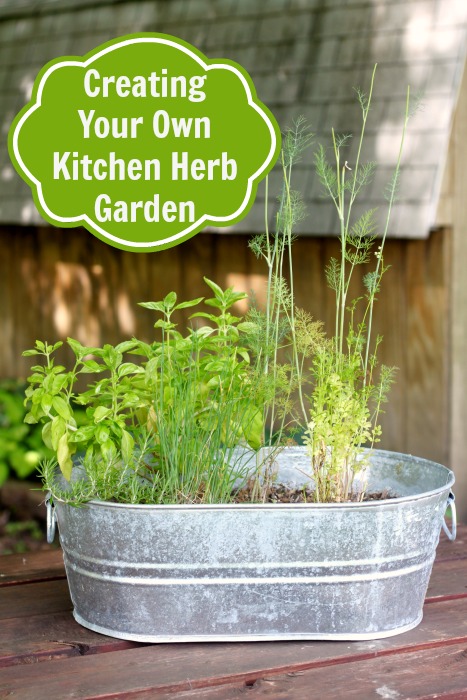 Create Your Own Kitchen Herb Garden