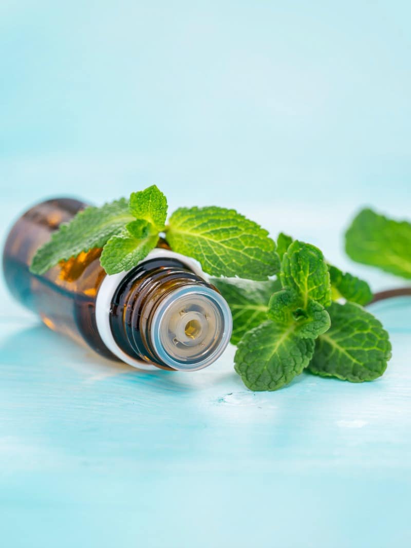 33 Uses For Peppermint Essential Oil All Things Mamma