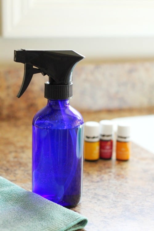 3 ingredient all natural window cleaner