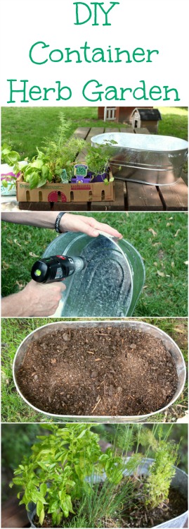 Create your own DIY Container Herb Garden with these step by step directions! 