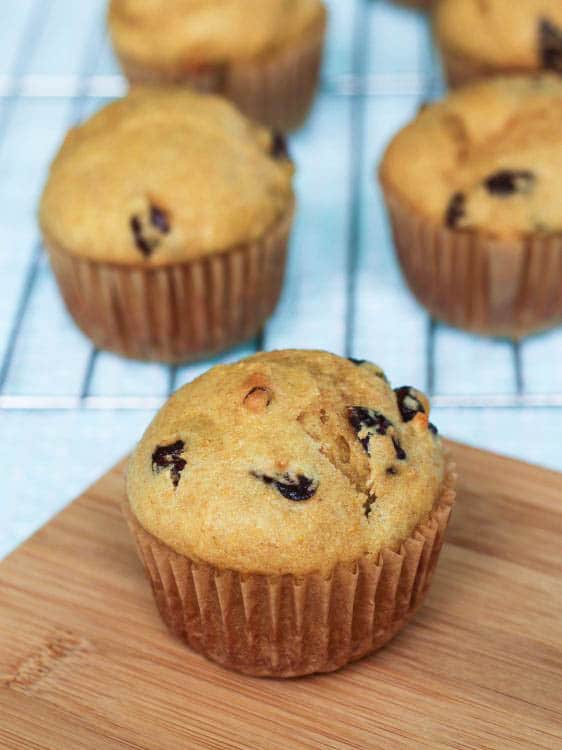 Try this amazing muffin recipe that uses yogurt to make the muffins moist and delicious - Cranberry Orange Muffins! Change up the yogurt flavor or add in different fruits and nuts to this recipe to make it your own! 