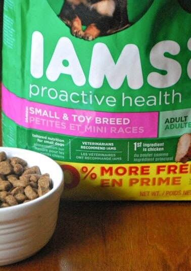 Iams Proactive Health