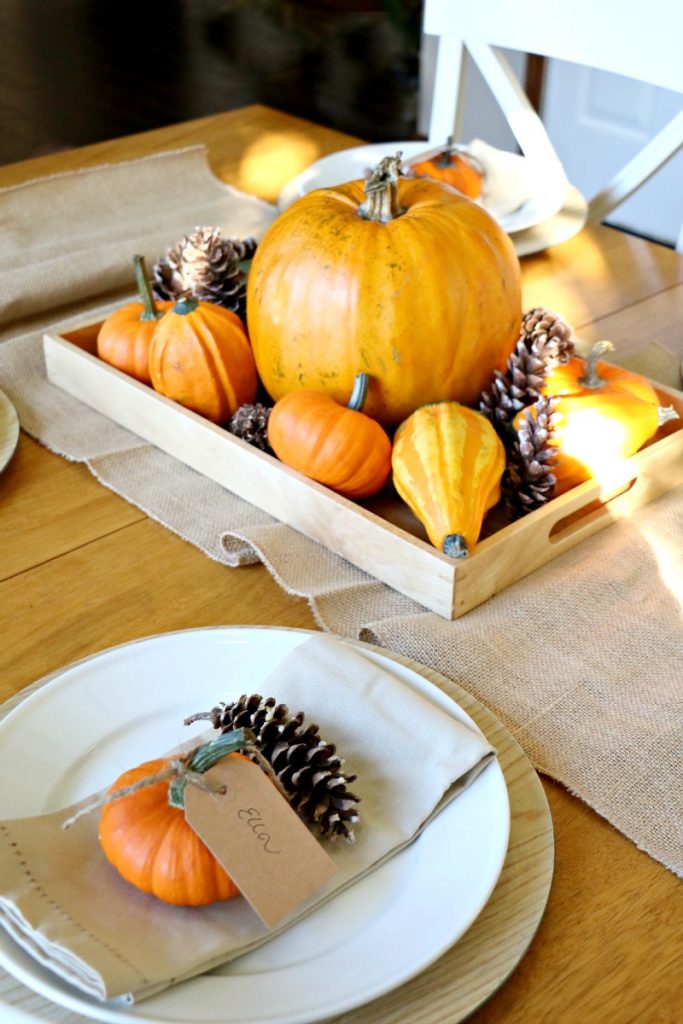 Creating a beautiful and affordable Thanksgiving Tablescape is as easy as looking around your home and yard for items you love. Add in a few store bought elements and you have an easy and affordable table that will dress up your home.