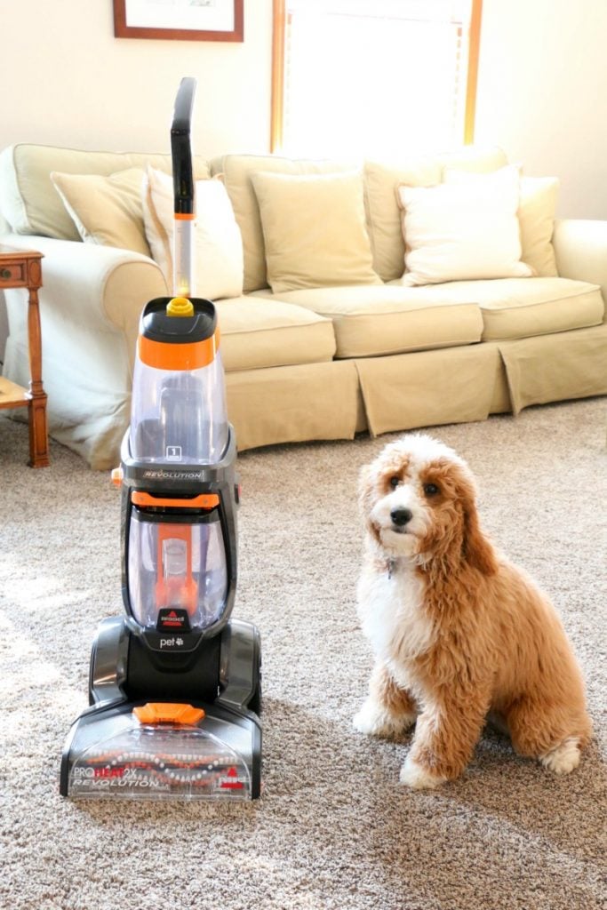 For those times I have to get my carpets extra clean, I grab my Bissell ProHeat 2X Revolution Pet Upright Cleaner and whichever cleaner is best for the job!