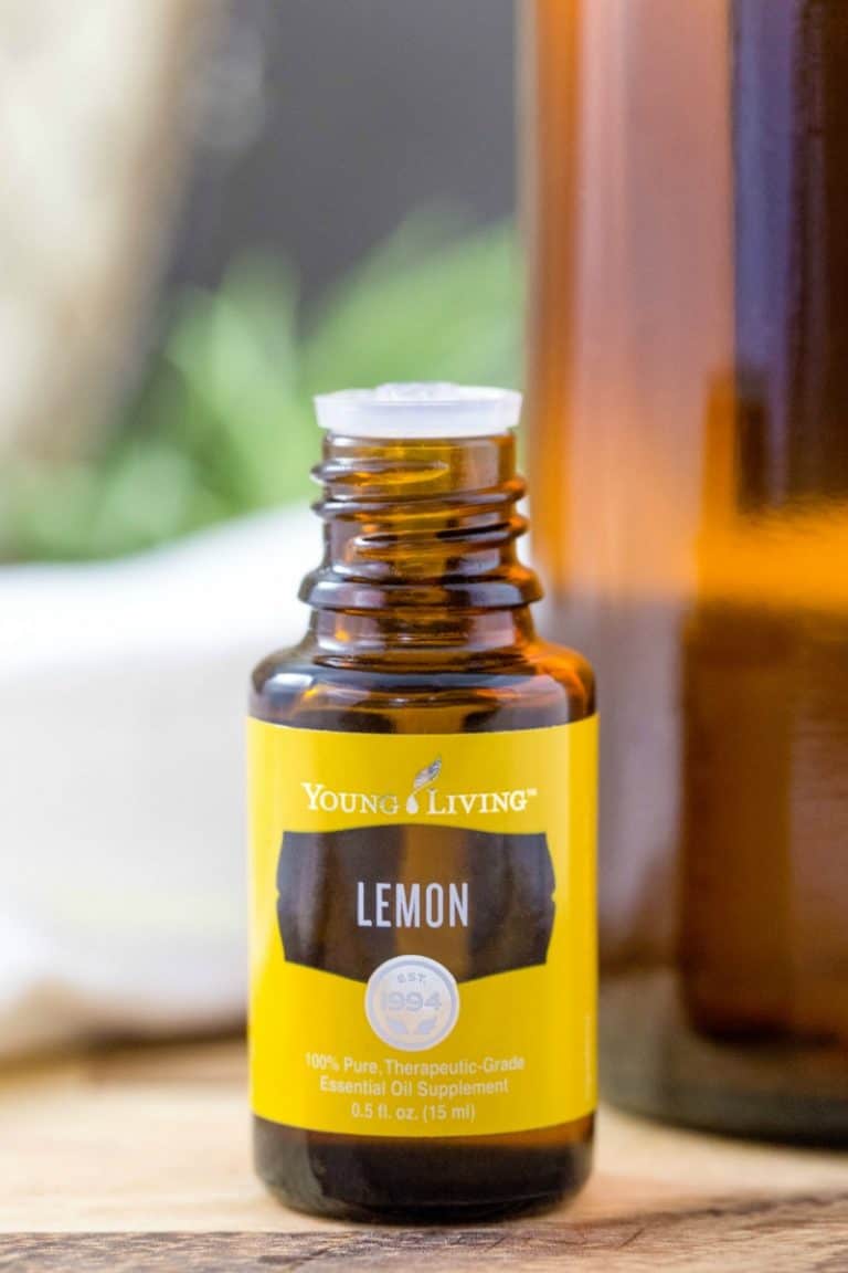 How To Make AlcoholFree Window and Glass Cleaner All Things Mamma