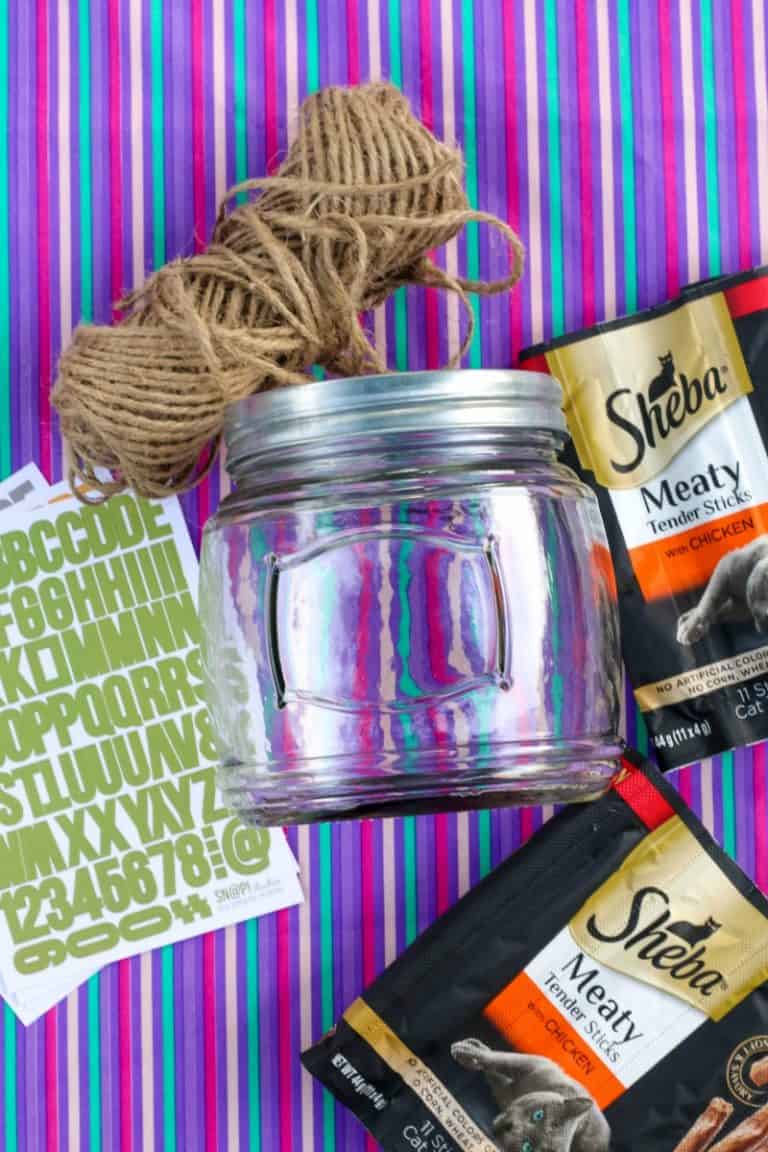 DIY Cat Treat Jar All Things Mamma