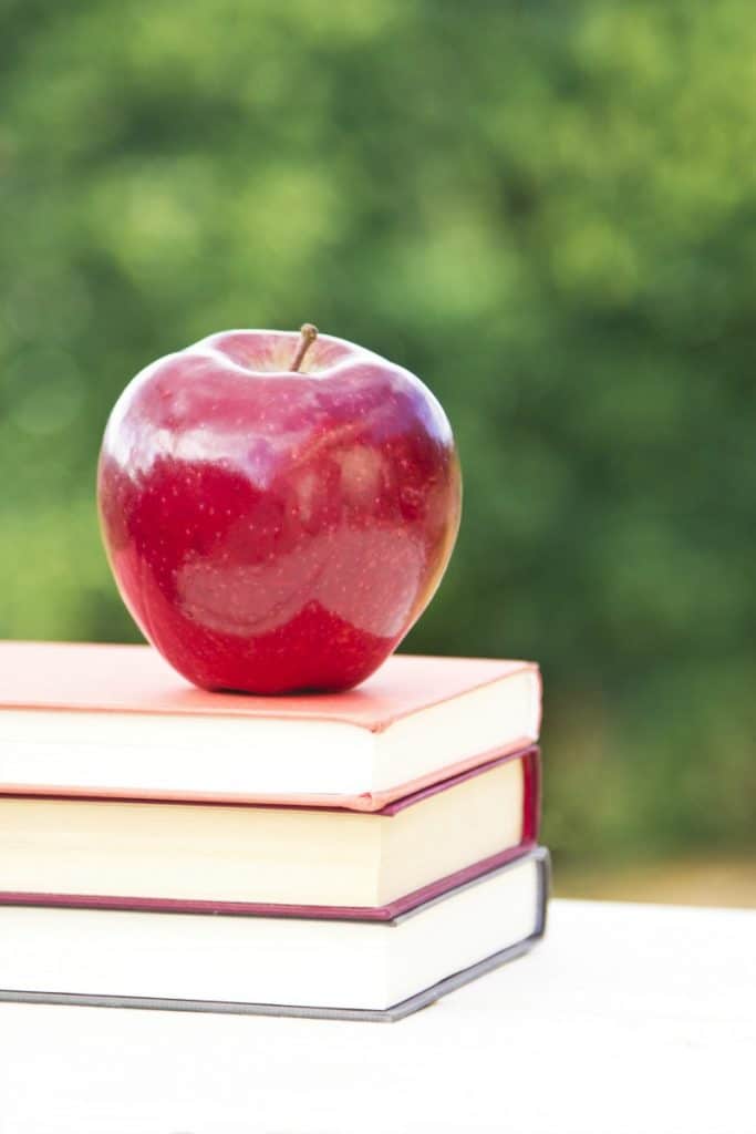 Back to school shopping can be crazy expensive – but with a few tips you can make the most of your money – here’s my 5 FAVORITE Frugal Back to School Shopping Tips to get you in and out without breaking the bank!