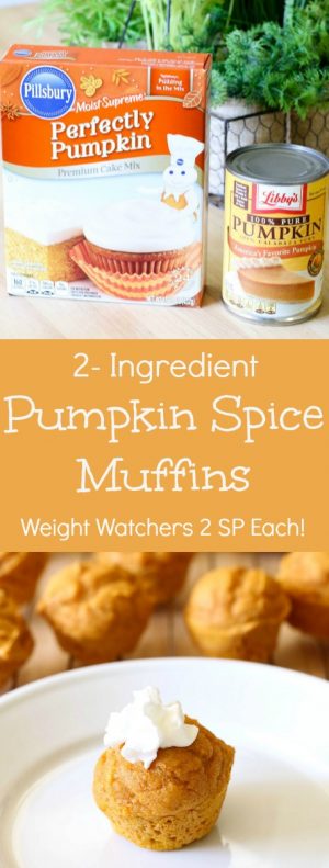 Two-Ingredient Pumpkin Spice Muffins - All Things Mamma