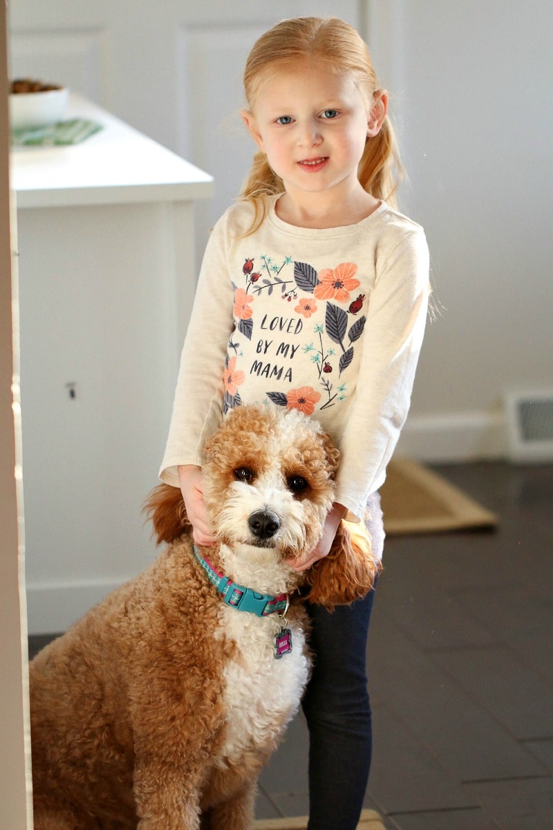 How To Show Your Furry Friend Lots of Love All Things Mamma