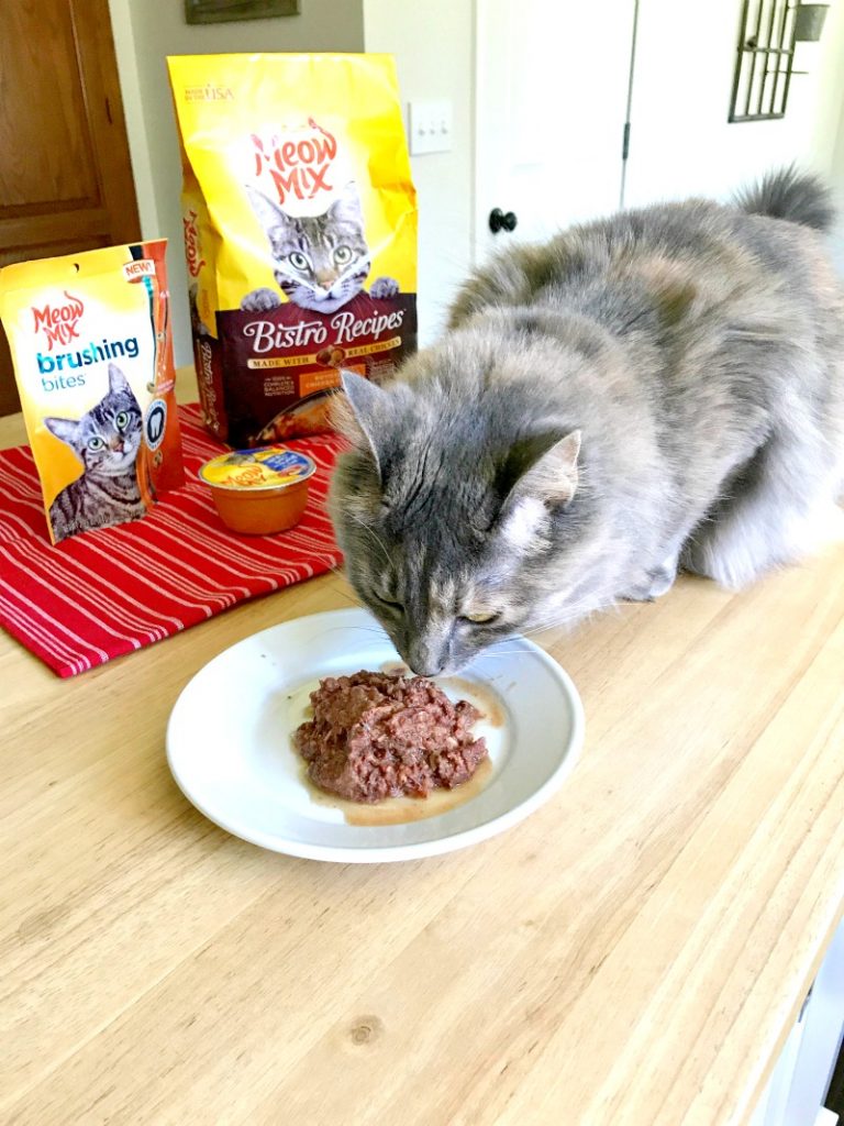 Meow Mix Bistro Recipes &#8211; For A Happy Cat