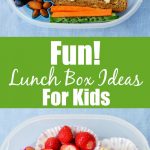 5 Lunch Box Ideas for Kids