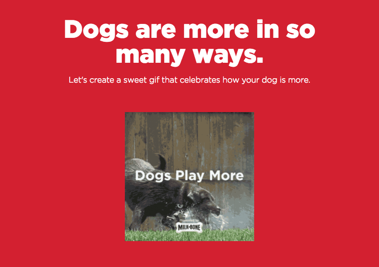 Dogs Are Much More Than Just A Dog