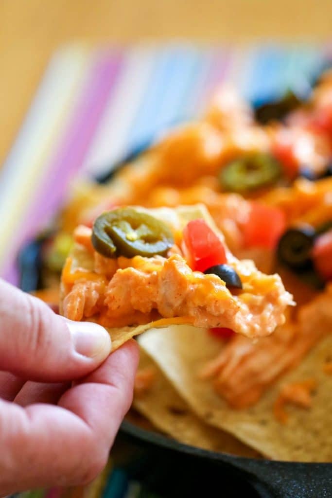 hand holding chip with buffalo chicken and toppings 