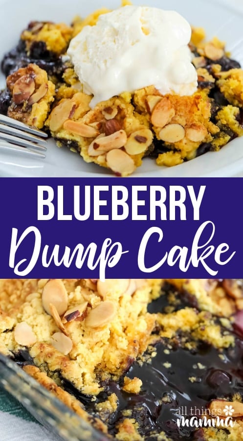 Blueberry Dump Cake Recipe