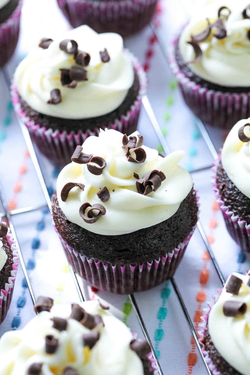 chocolate cupcakes topped with cream cheese frosting 