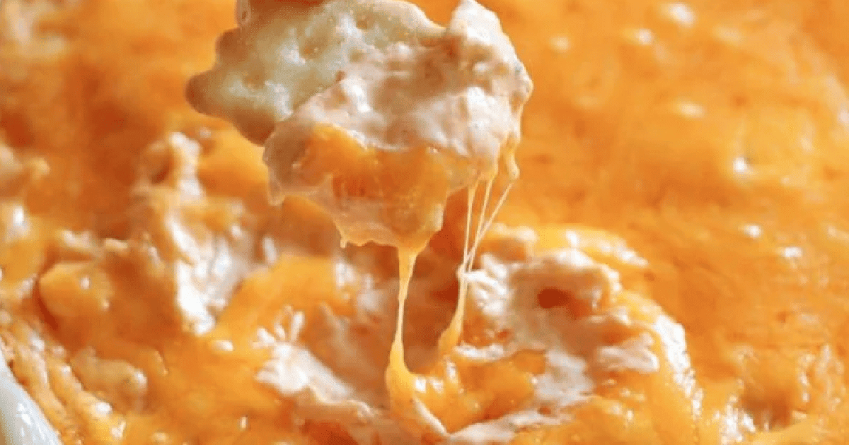 buffalo chicken dip