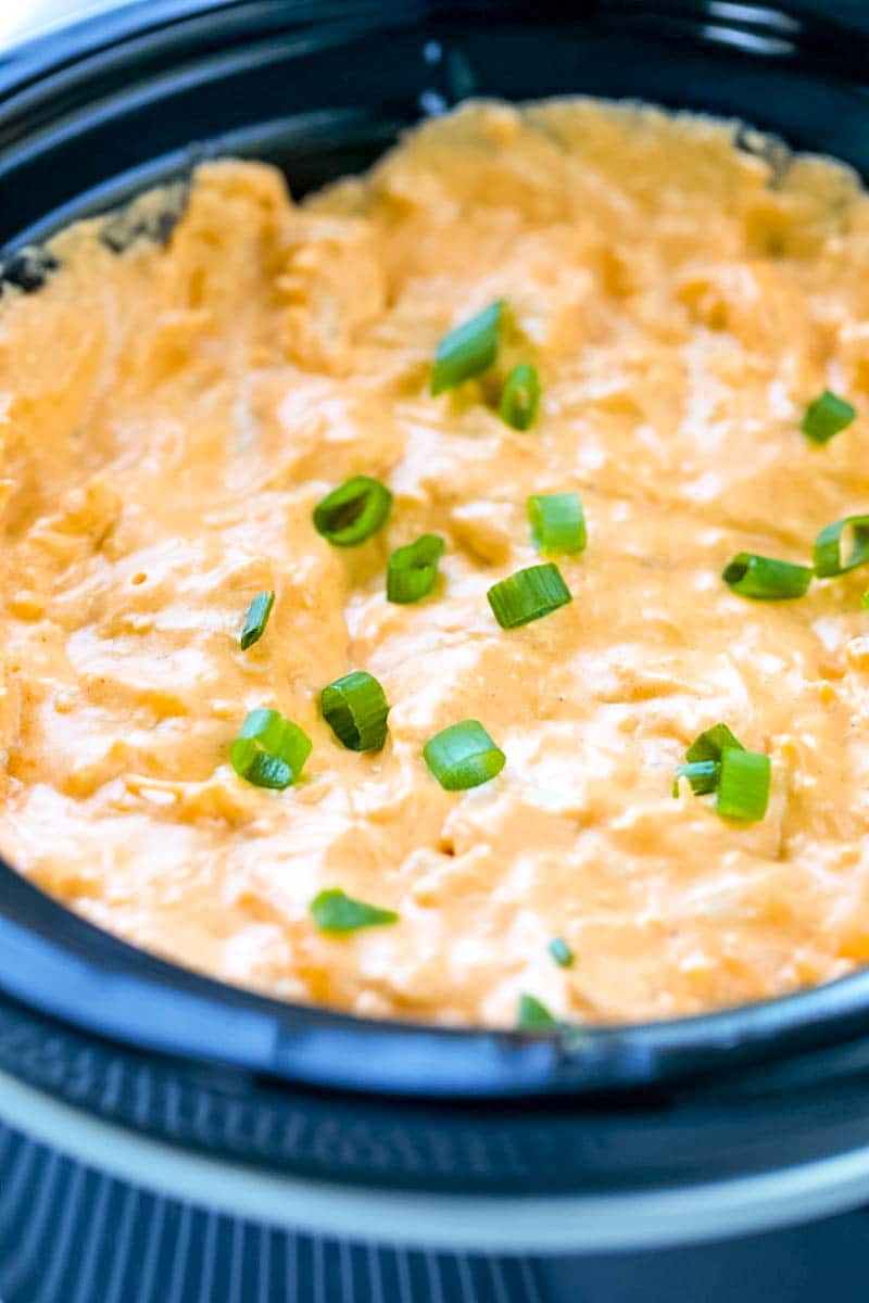 spicy chicken dip in the slow cooker 