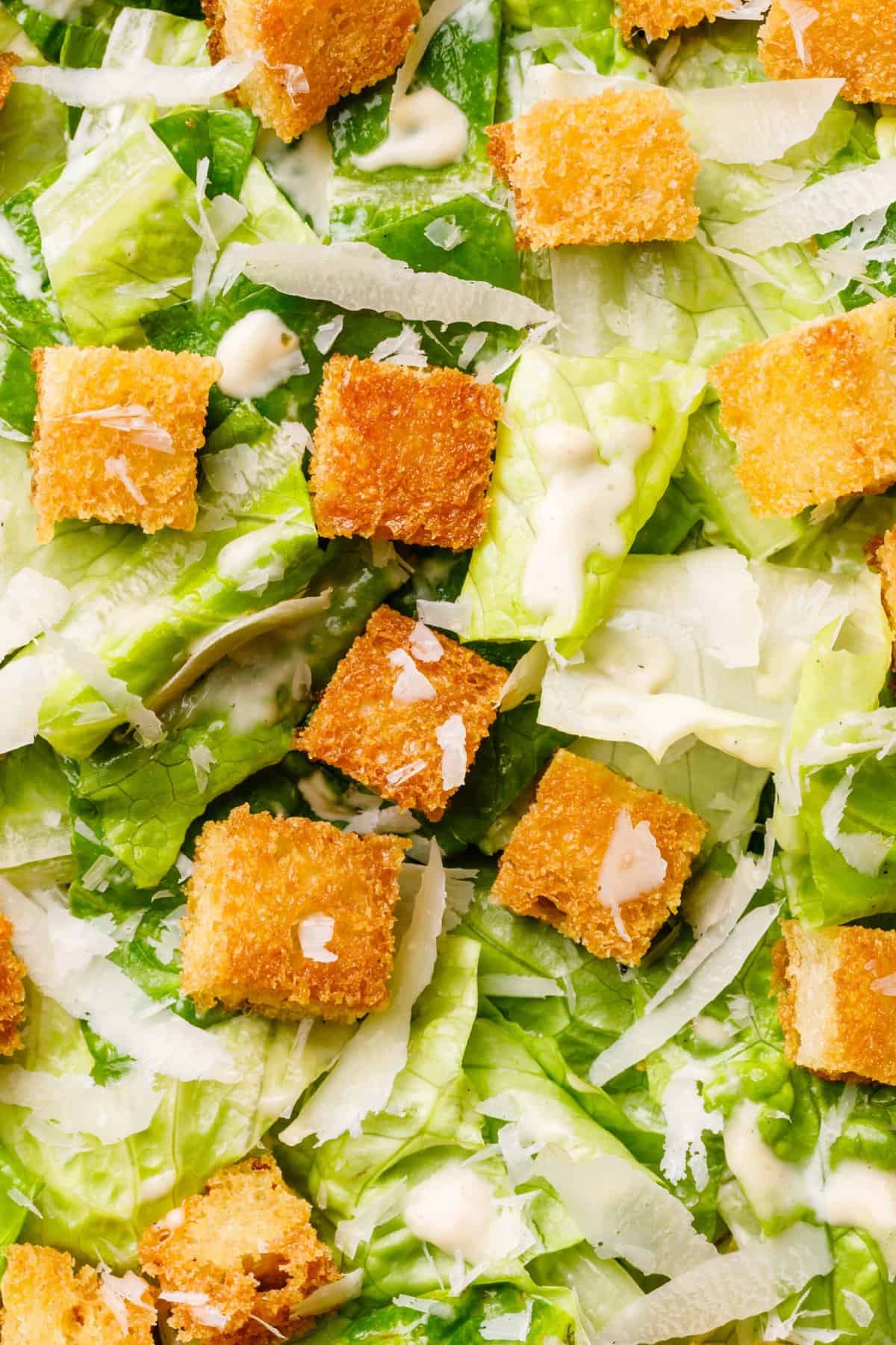 caesar dressing on a bed of cut up romaine lettuce with croutons and shaved parmesan