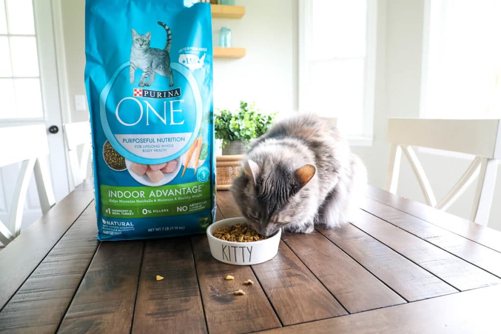 Purina ONE Challenge Indoor Cat Advantage Cat Food All Things Mamma