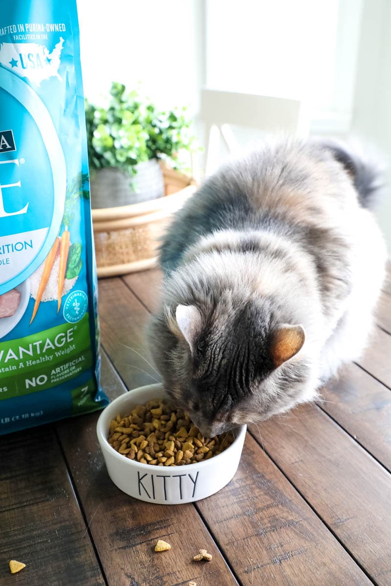 Purina ONE Challenge &#8211; Indoor Cat Advantage Cat Food