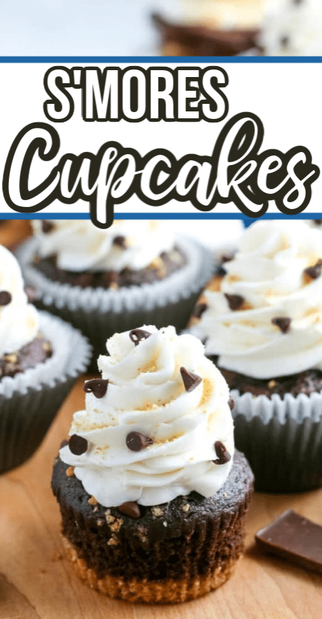the best smores cupcake recipe 