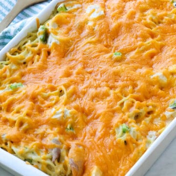 23+ Quick and Easy Dinner Recipes The Entire Family Will Love