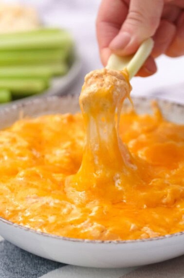 buffalo chicken dip