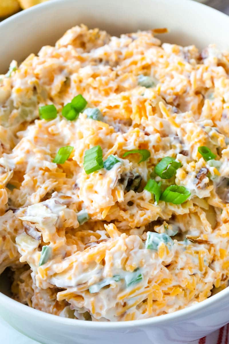 easy appetizer dip in a bowl topped with green onions 