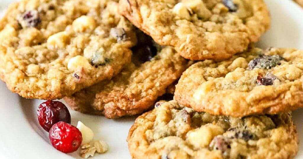 oatmeal cranberry cookies (1)