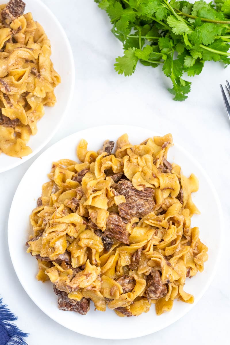 egg noodles and beef stroganoff on plate 