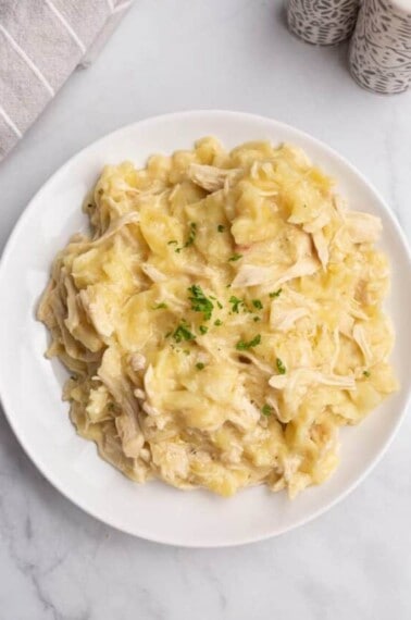 top shot of creamy chicken dish on white plate