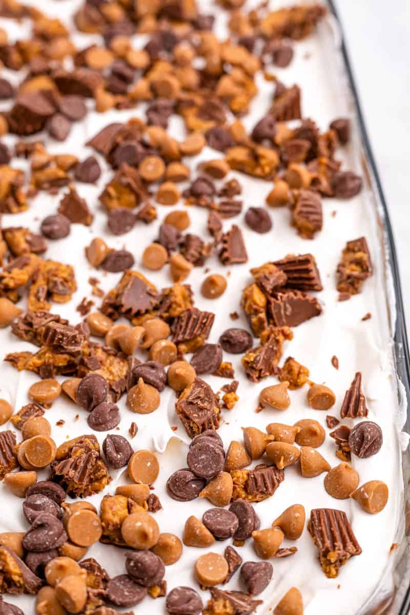 Peanut Butter Lasagna 30 Minute Dessert Recipe All Things Mamma