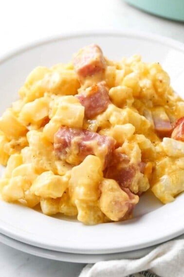 cheesy ham casserole on a white plate