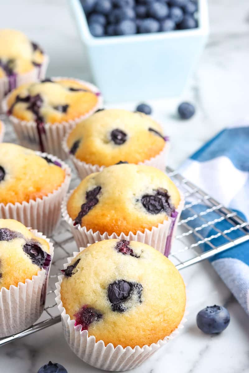 blueberry muffins on a tray