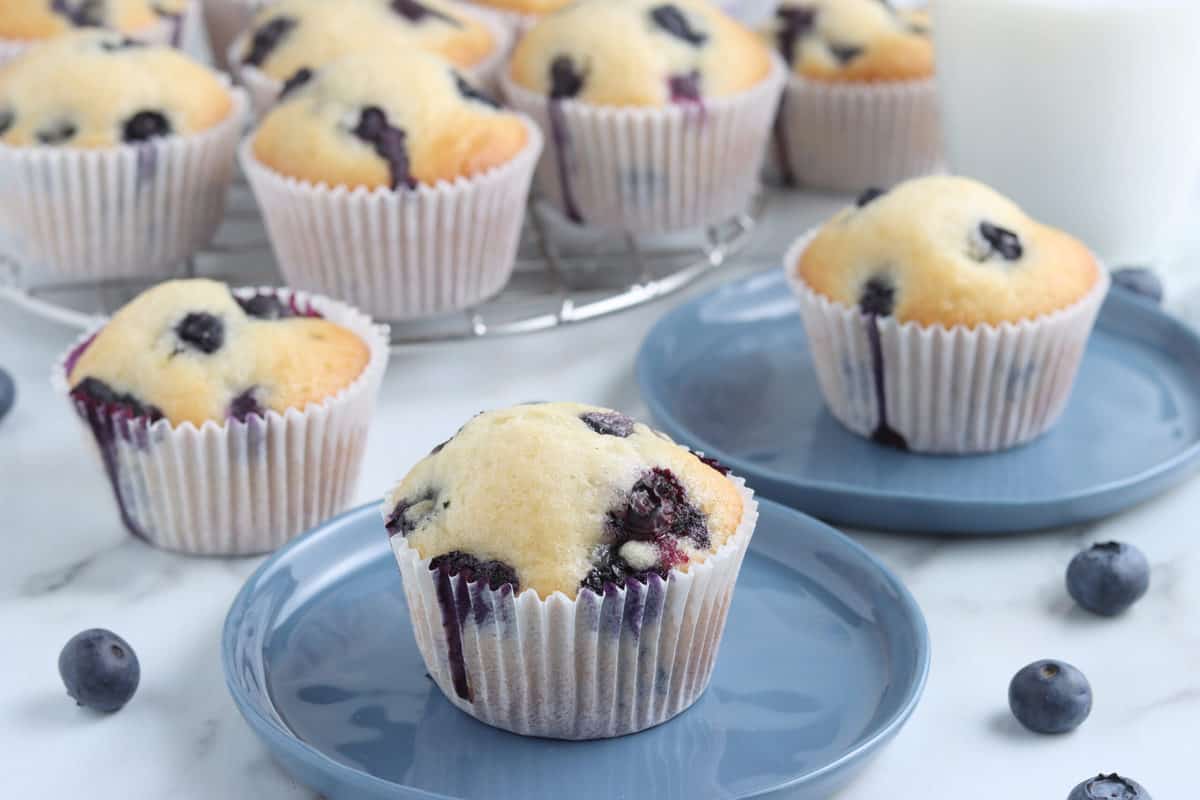 Blueberry Muffin Recipe
