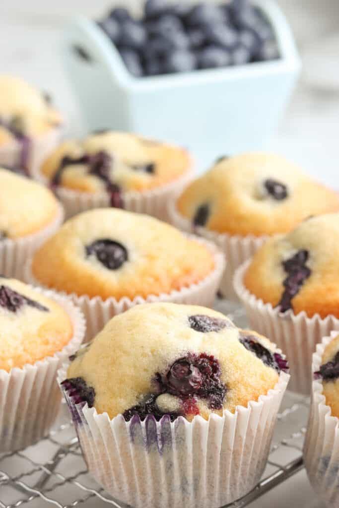 The Easiest Blueberry Recipe Muffin Recipe | All Things Mamma