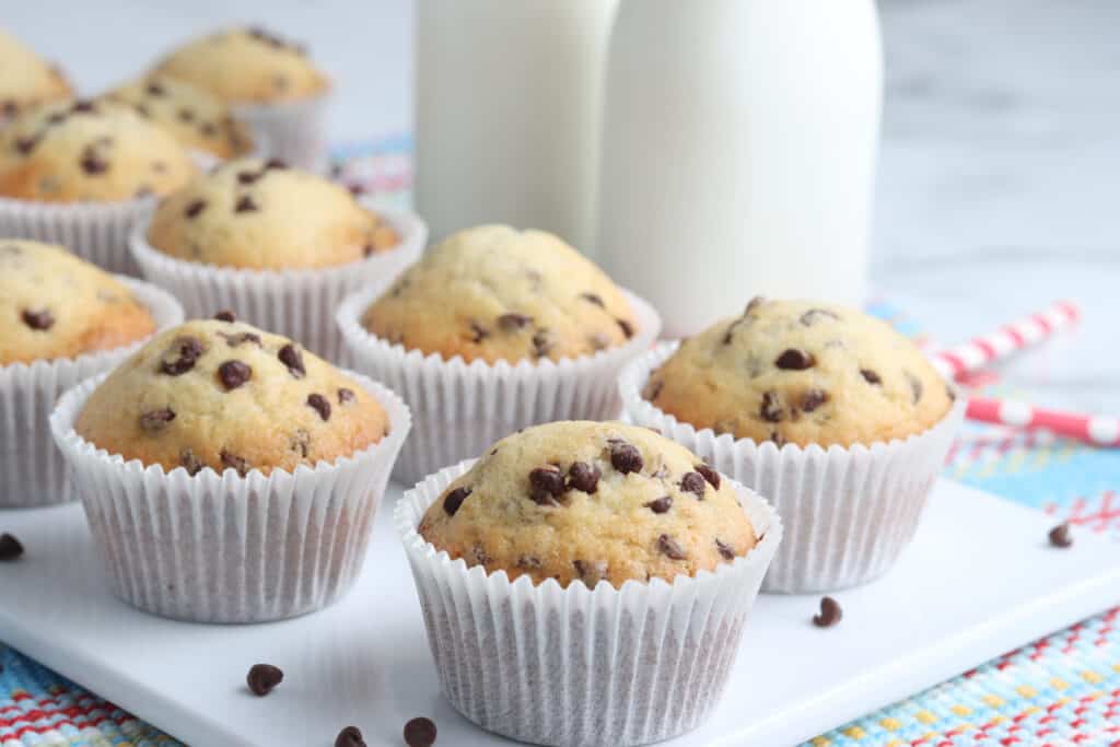 Chocolate Chip Muffins
