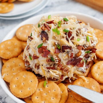 cheese ball served with crackers in a white shallow bowl.