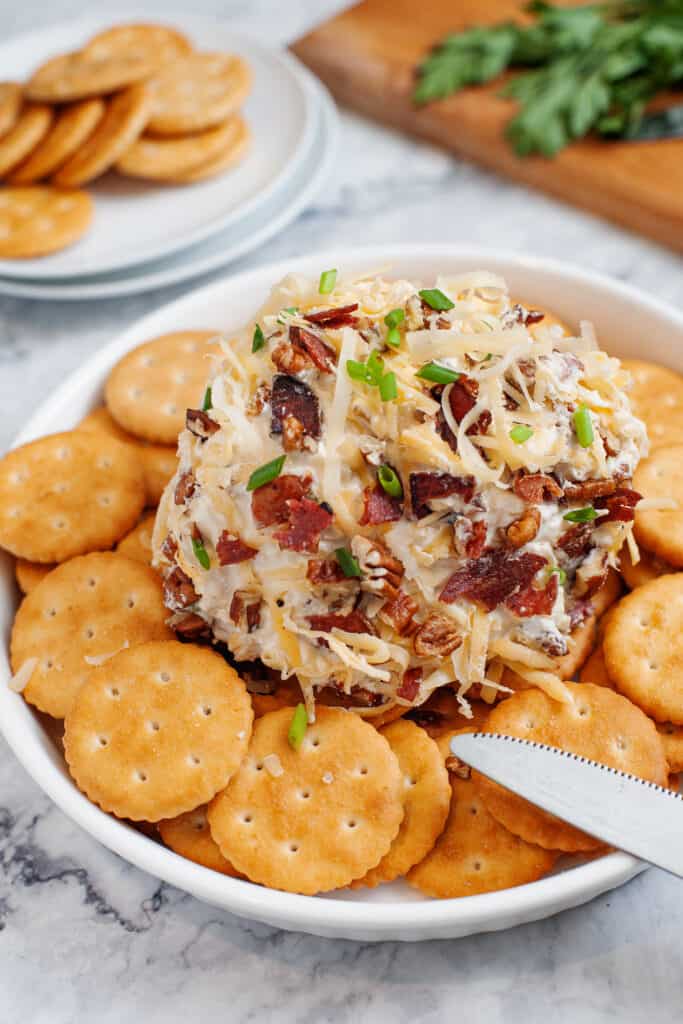 cheese ball served with crackers in a white shallow bowl
