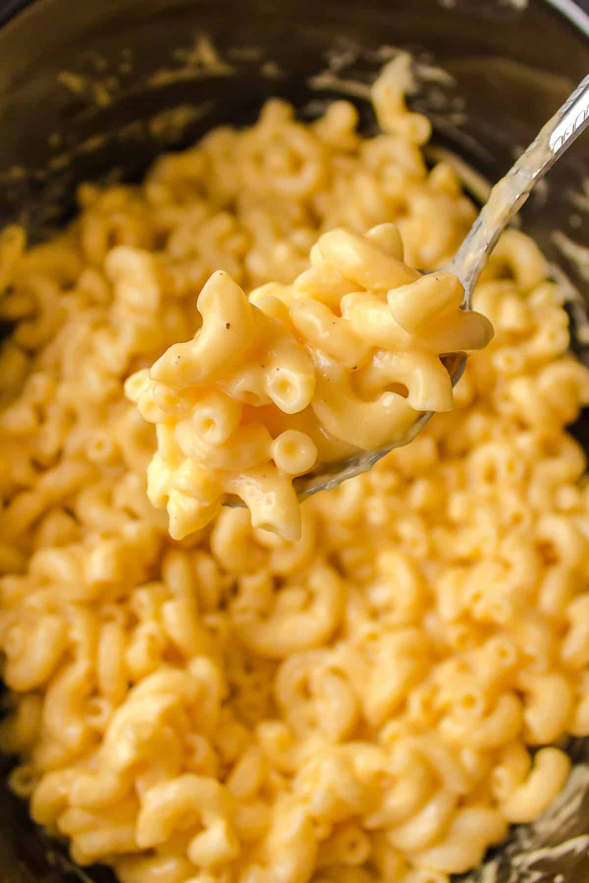 Crock Pot Macaroni and Cheese All Things Mamma