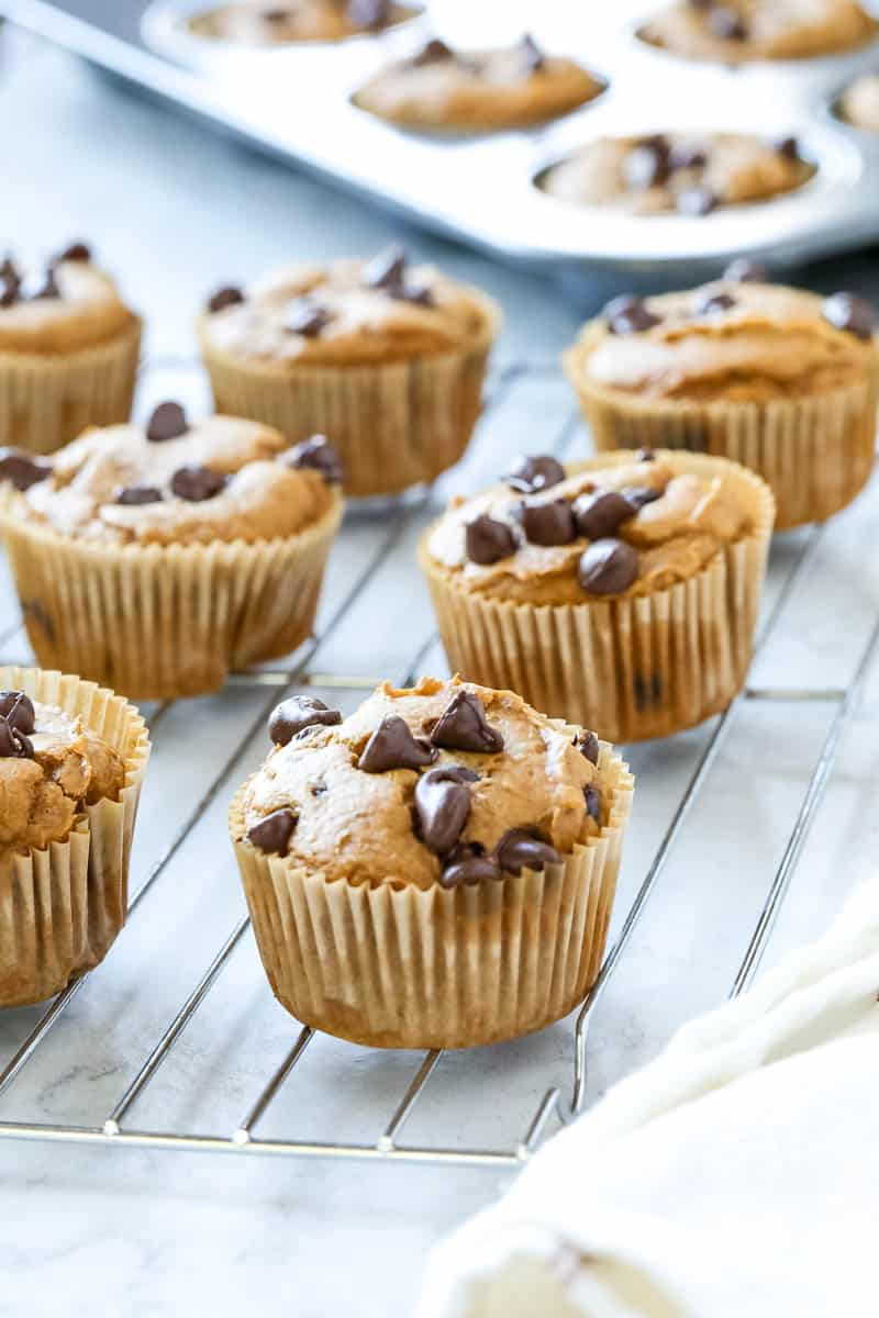 Pumpkin chocolate chip muffins on a cooling rack on a table. 
