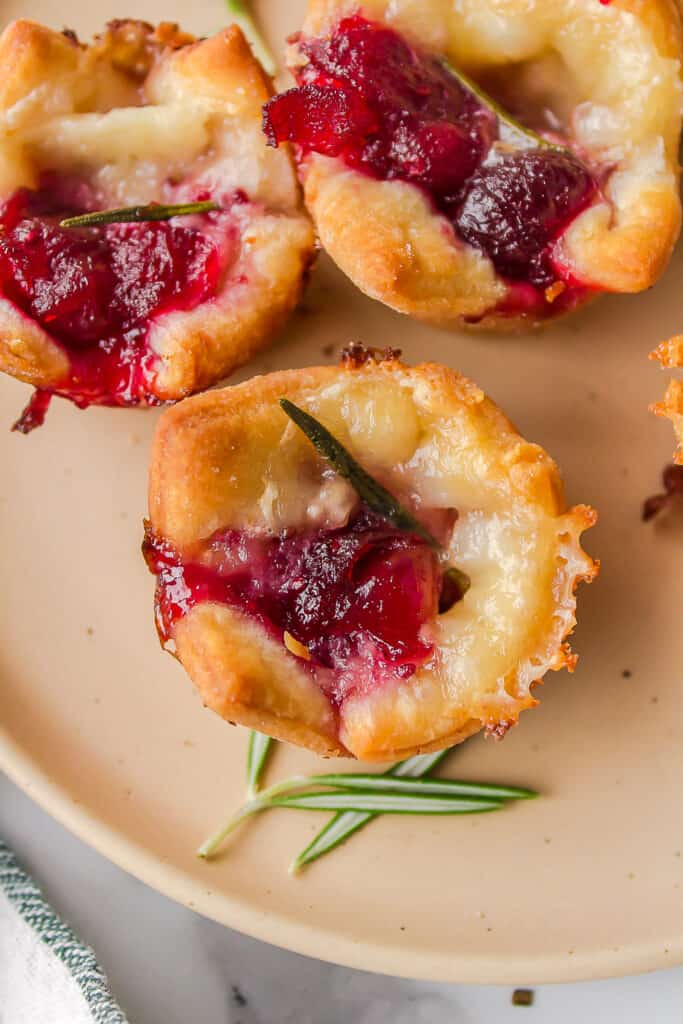 Cranberry Brie Bites (Easy Crescent Roll Recipe!) All Things Mamma