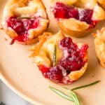 cranberry brie bites on a pink plate with rosemary.