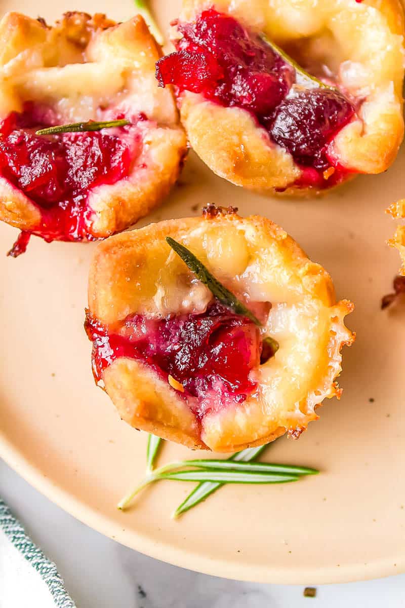 cranberry brie bites garnished with rosemary served on a plate
