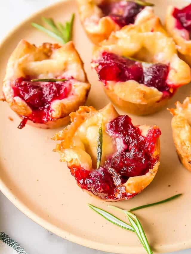 30+ Ideas for Christmas Day Appetizers All Things Mamma
