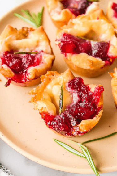 webstories cranberry brie bites