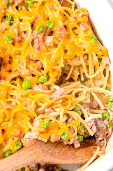 cropped-Ham-Tetrazzini-2-1.jpg